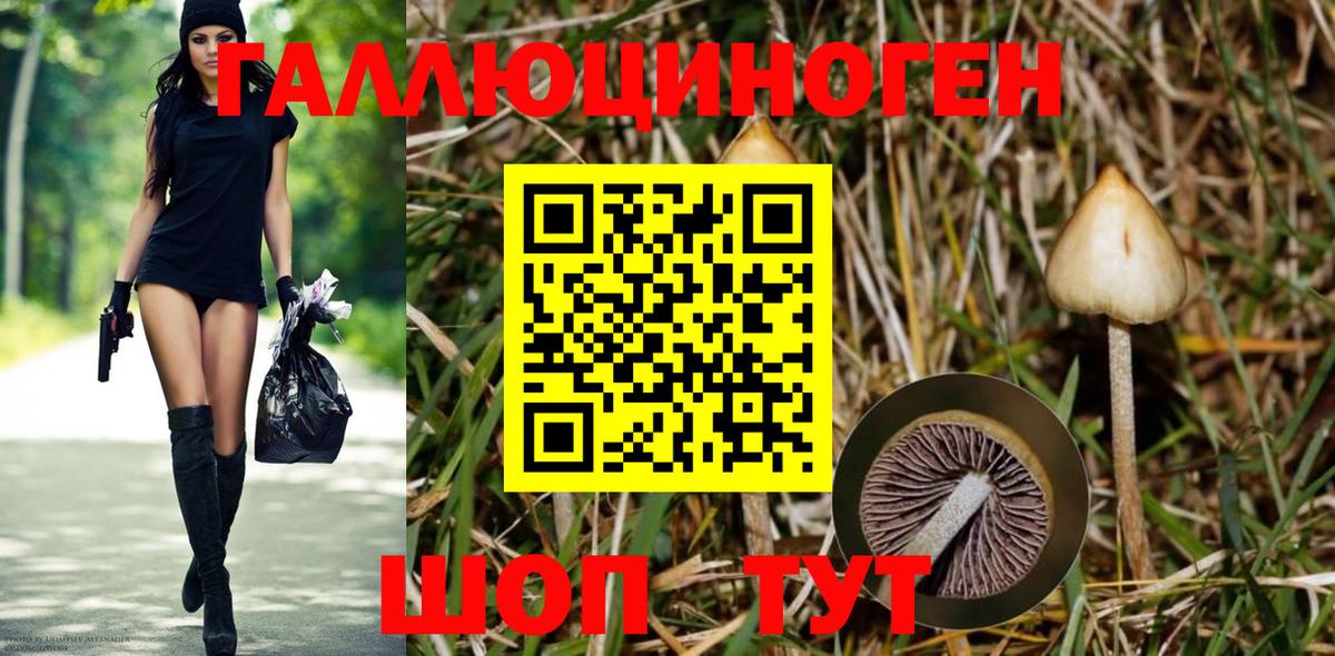 Псилоцибиновые грибы прущие грибы  Вход с VPN  Галлюциногенные грибы ЛСД  Малоярославец 